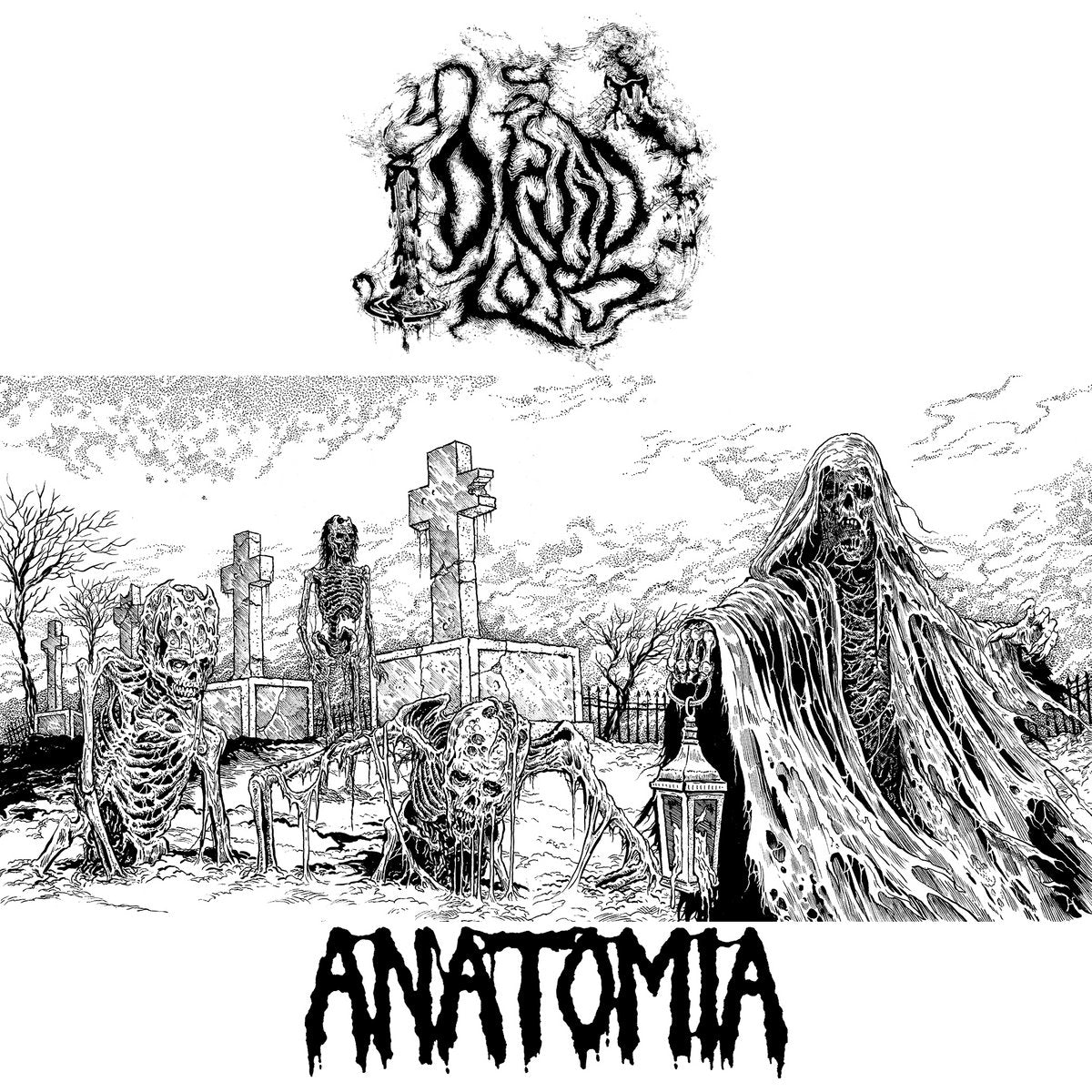 ANATOMIA & DRUID LORD "Split" 7"