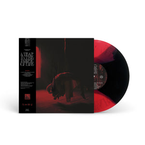 KNOCKED LOOSE "A Tear In The Fabric Of Life" LP