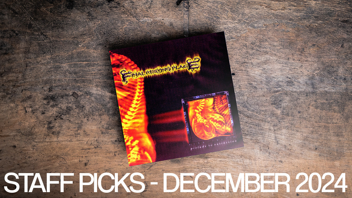 Staff Picks December 2024