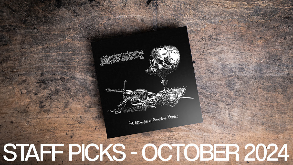 Staff Picks October 2024