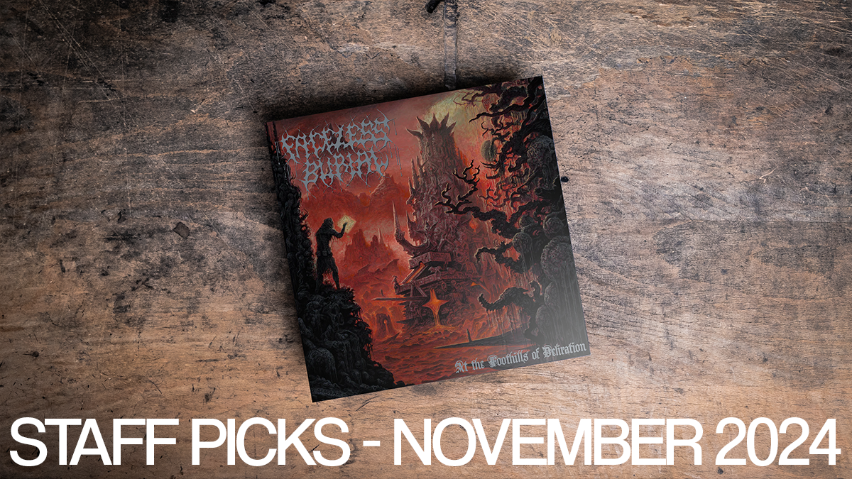 Staff Picks November 2024