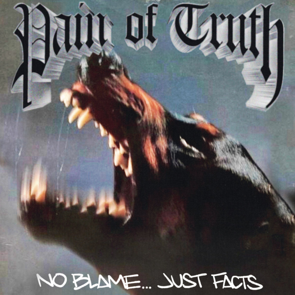 PAIN OF TRUTH "No Blame... Just Facts" 12"