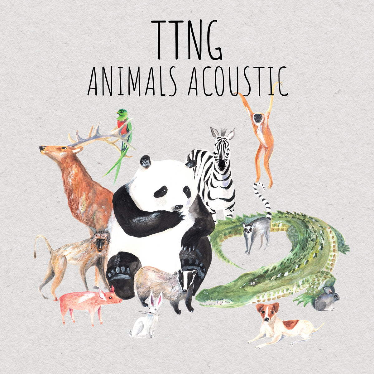 TTNG "Animals - Acoustic" CD
