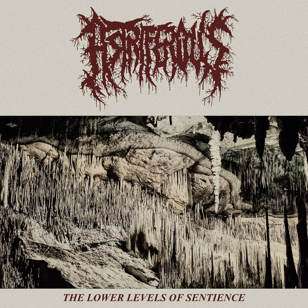 ASTRIFEROUS "The Lower Levels Of Sentience" LP