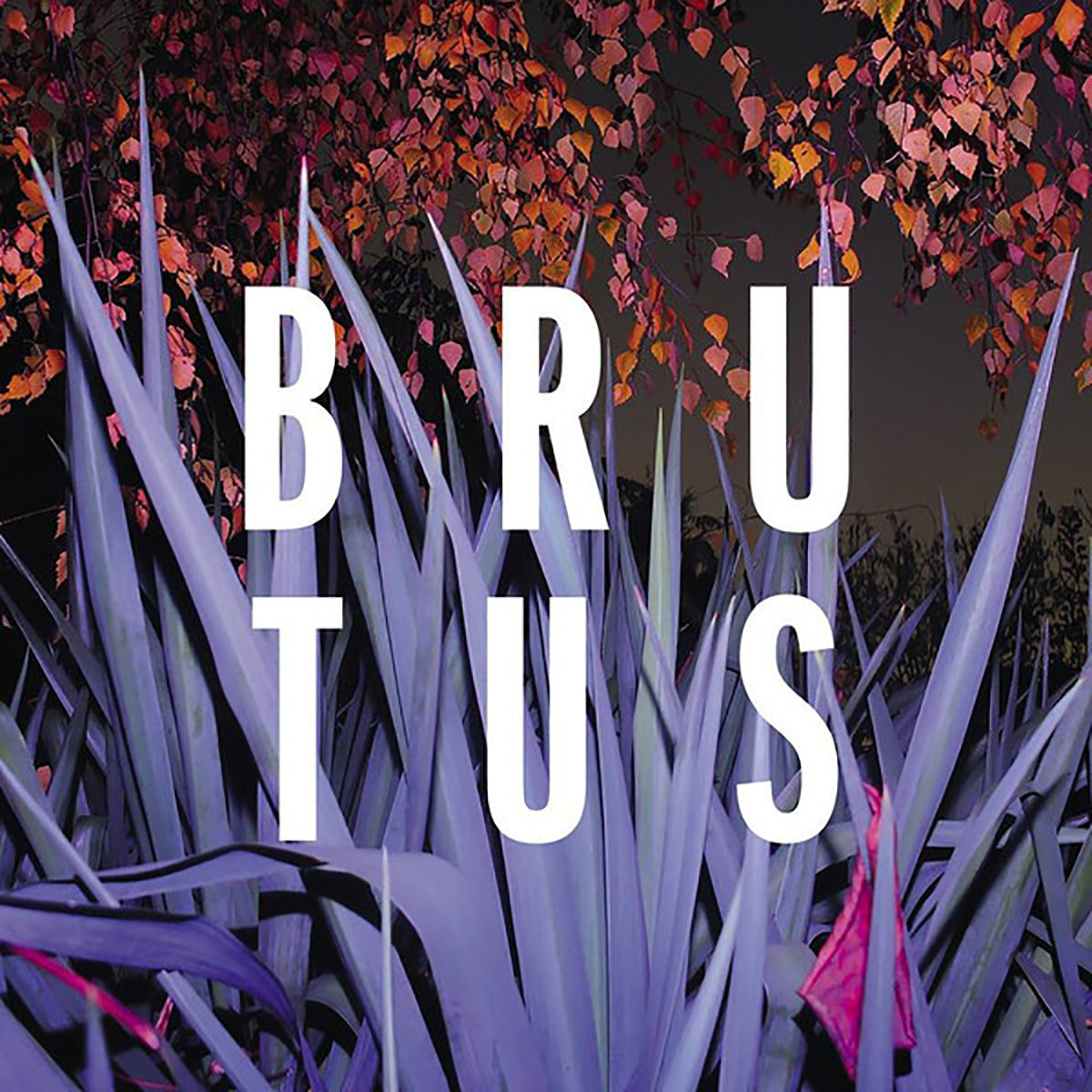 BRUTUS "Burst" CD