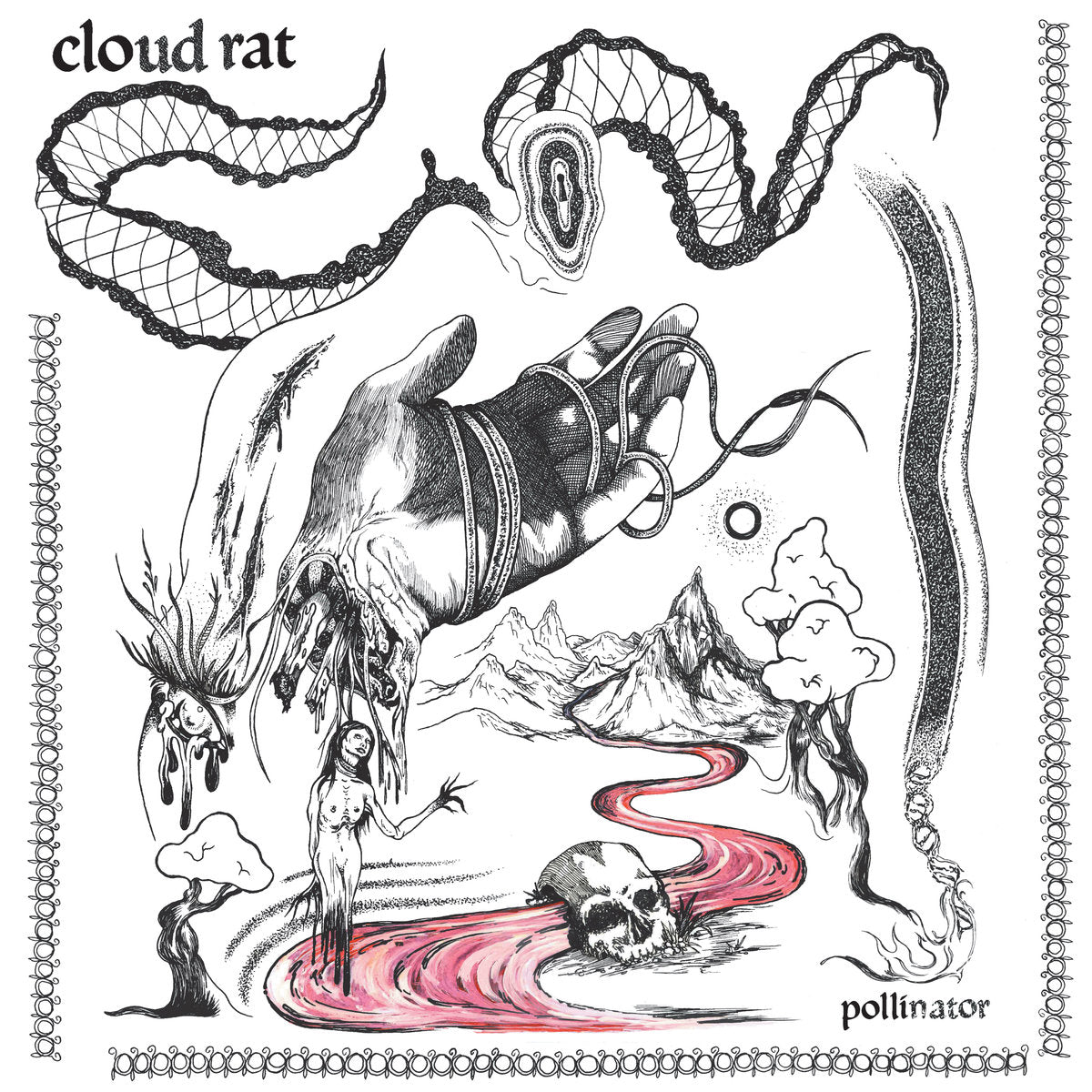 CLOUD RAT "Pollinator" LP