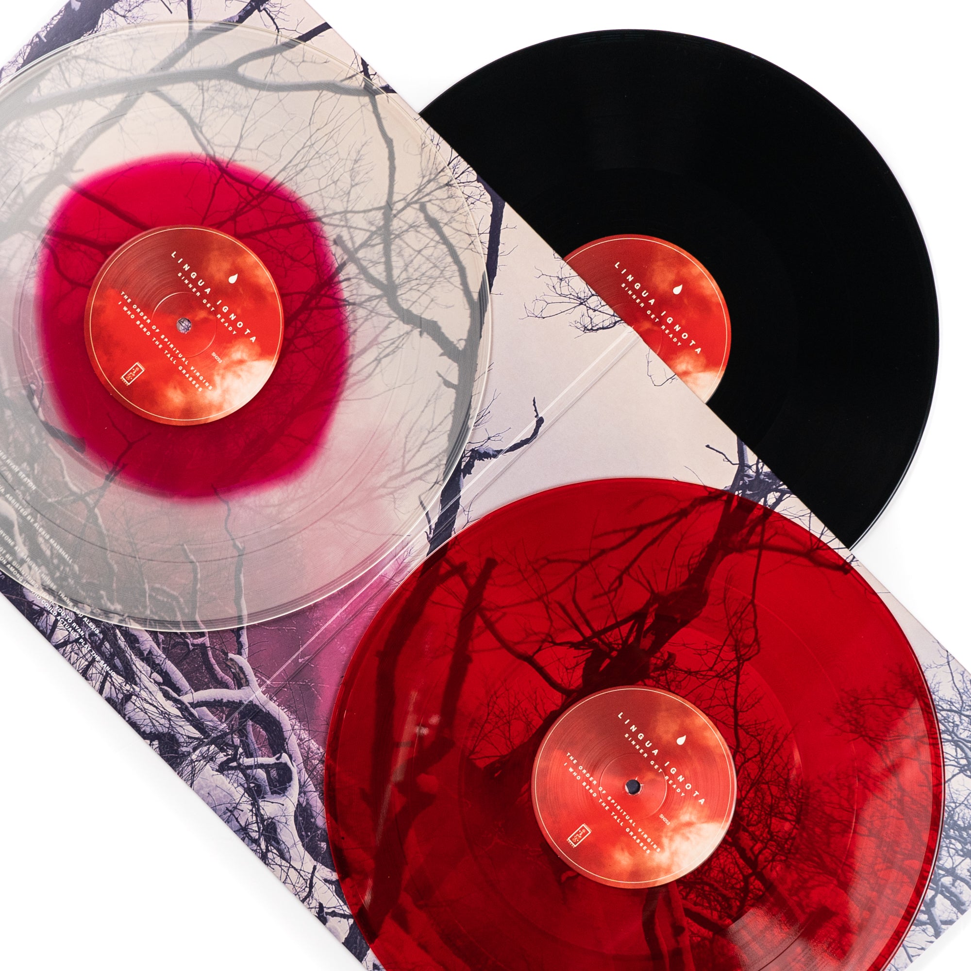 Sangue e cenere (Red Coloured Vinyl) - Gang - Vinile