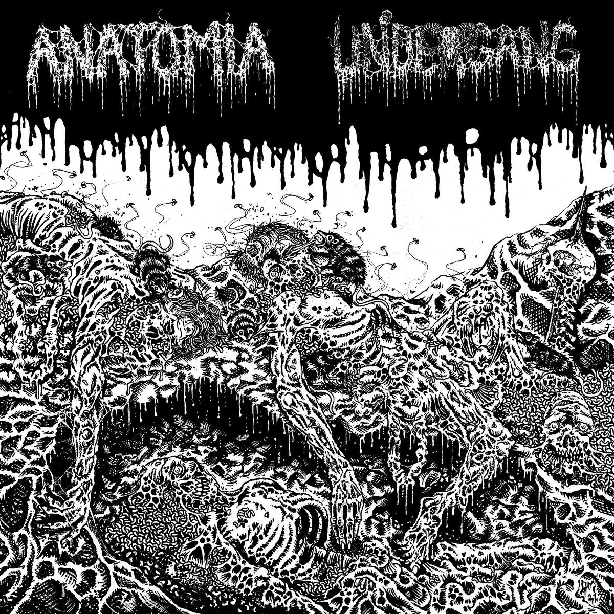 UNDERGANG & ANATOMIA "Split" LP